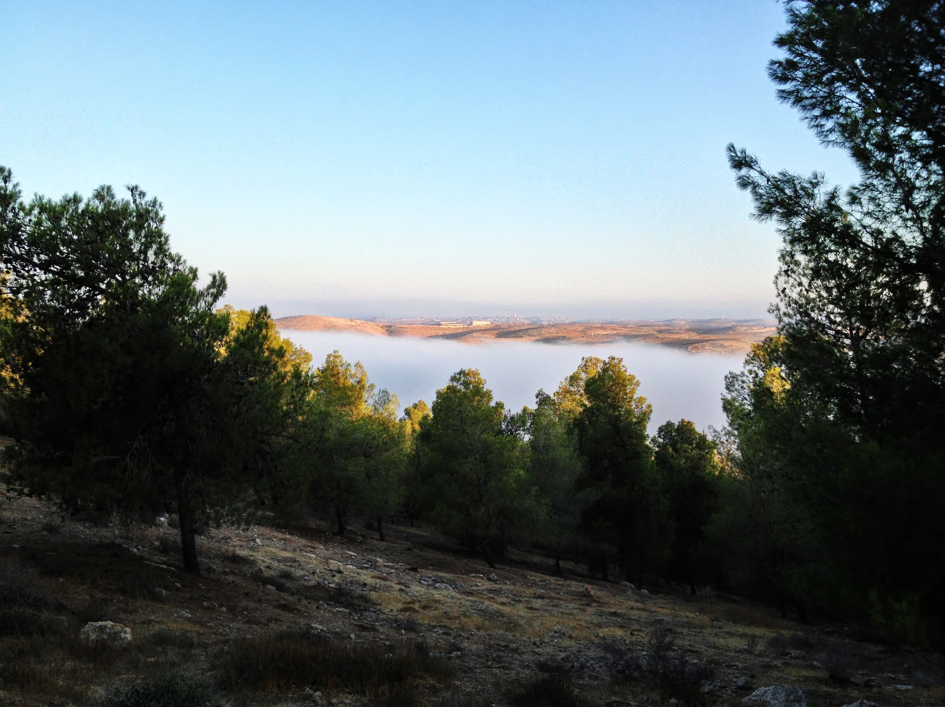 יער יתיר גלישת עננים
